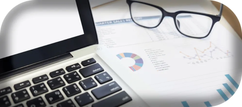 Mikostránky analýza