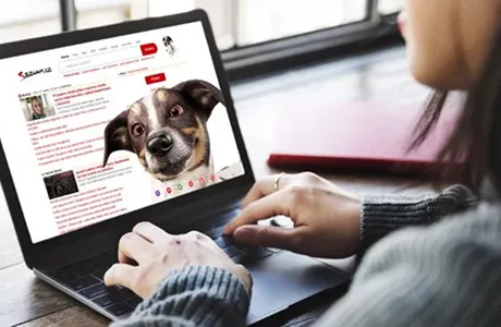 PPC reklama na Seznamu