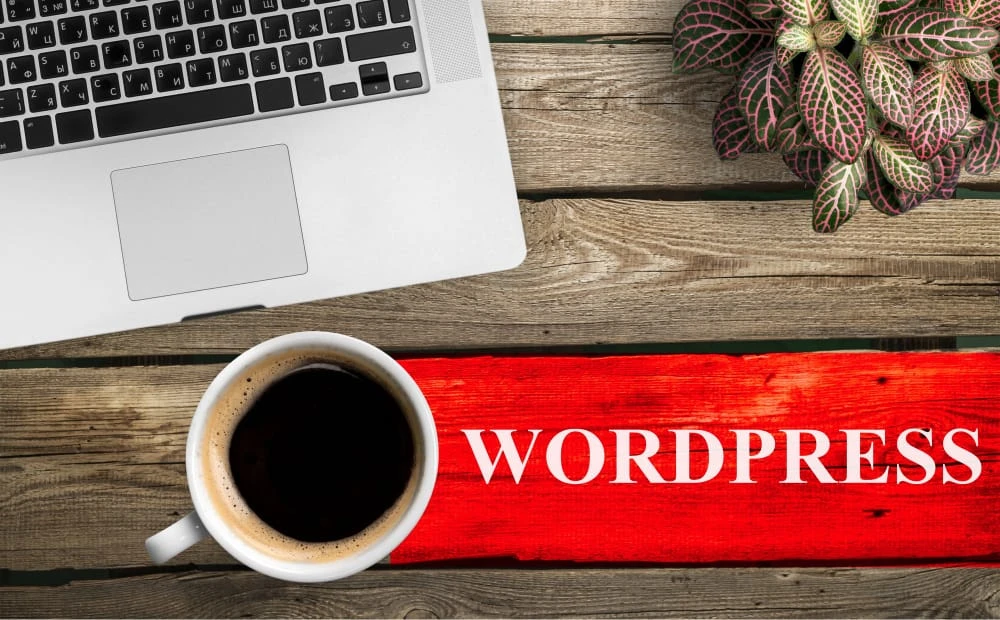 Proč mít web ve WordPressu