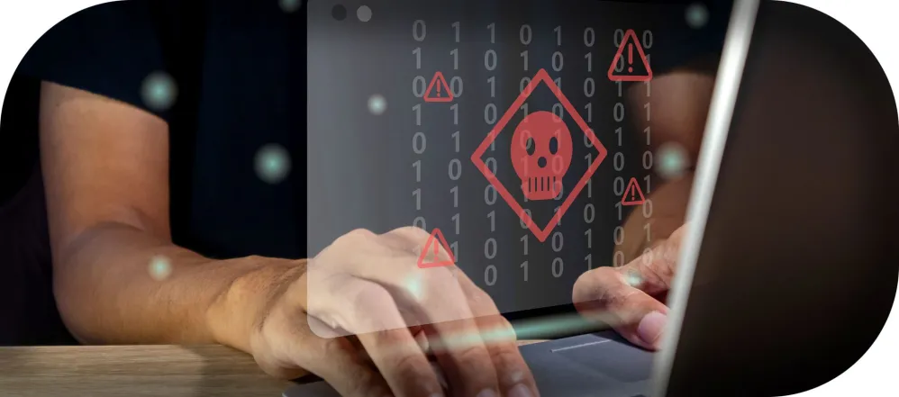 Odvirování WP diagnostika