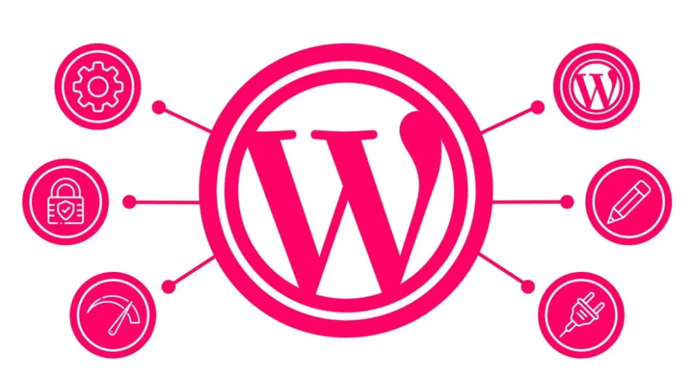 Wordpress programátor co je to wordpress